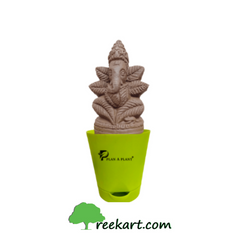 Plant Ganesh