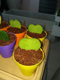 Hoya Kerrii (Sweetheart Plant / Valentine Hoya) - treekart
 - 2