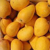 Organic Mangoes | 5Kg