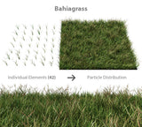 Bahia grass seeds - treekart
 - 2