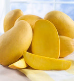 Organic Mangoes | 5Kg