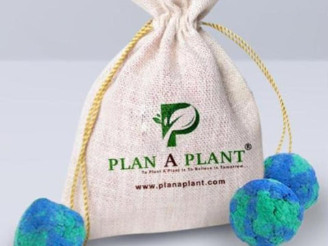Plant Bombs (Pack Of 10)