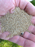 Bentgrass Seeds - treekart
 - 3