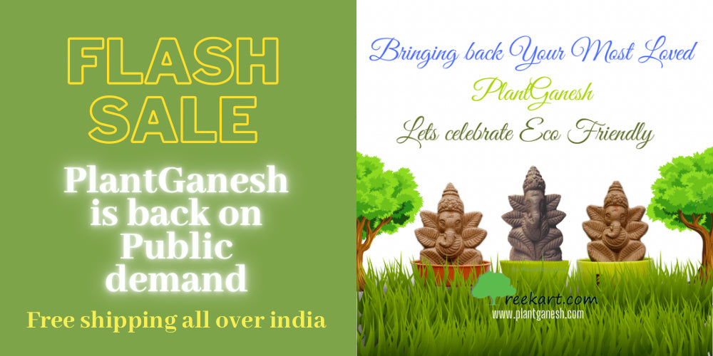 Plant Ganesh Online